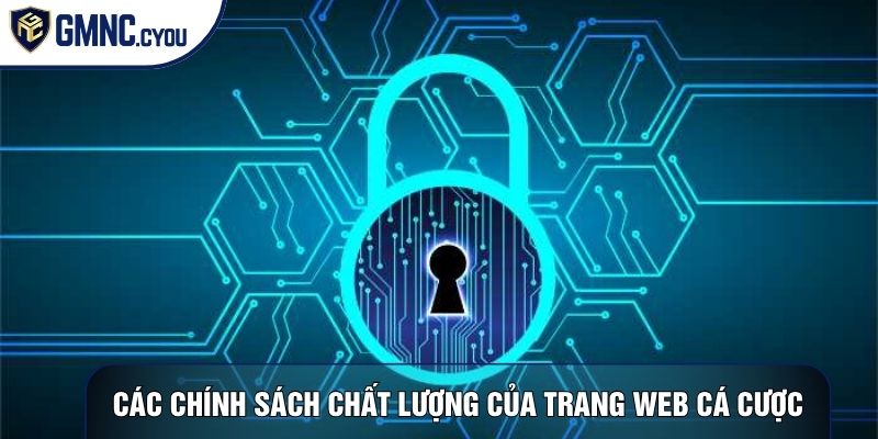 Các chính sách siêu chất lượng của trang web cá cược