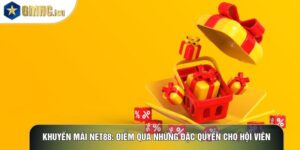 Khuyến Mãi Net88: Điểm Qua Những Đặc Quyền Cho Hội Viên