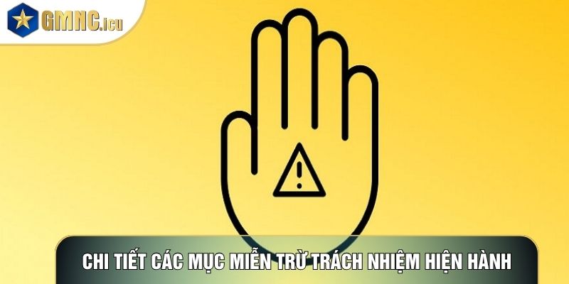 Chi tiết các mục miễn trừ trách nhiệm hiện hành