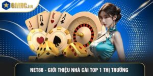 Net88 - Giới Thiệu Nhà Cái Top 1 Thị Trường Trực Tuyến