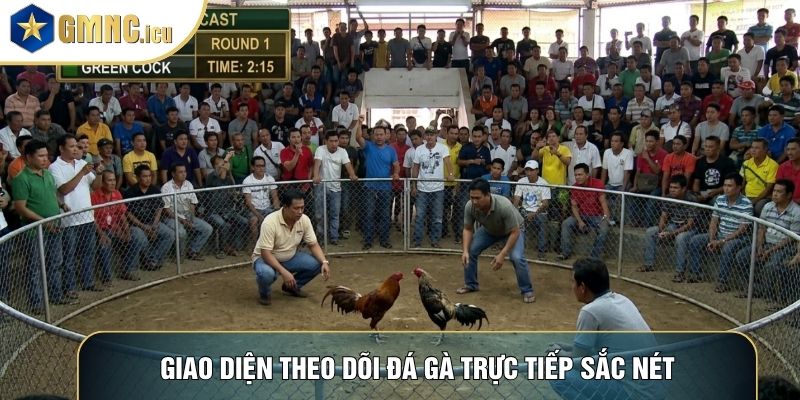 Giao diện theo dõi đá gà trực tiếp sắc nét